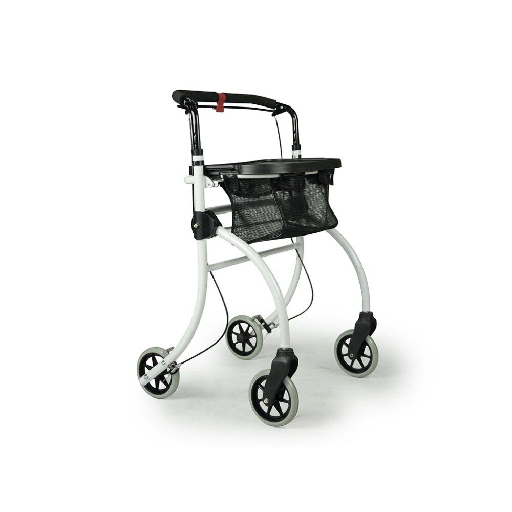 Indoor Rollator Roomba